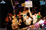 City birds II - 14.1.12 - fotografie 61 z 71